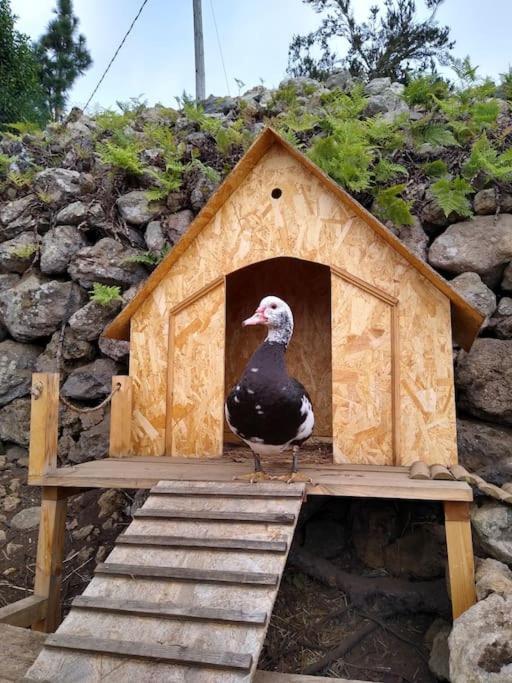 Los Huertos Conect With The Nature & Relax Icod De Los Vinos Ngoại thất bức ảnh