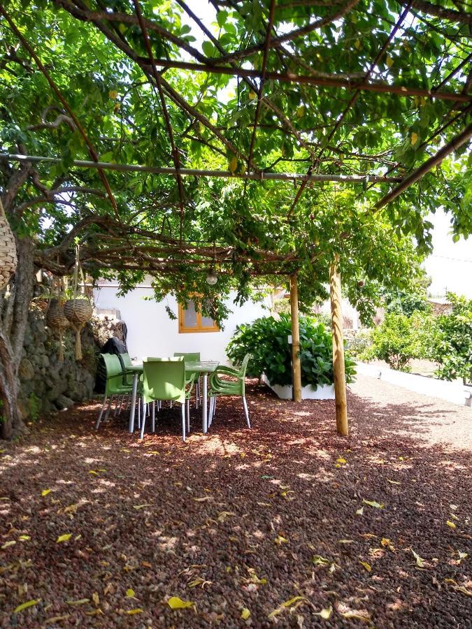 Los Huertos Conect With The Nature & Relax Icod De Los Vinos Ngoại thất bức ảnh